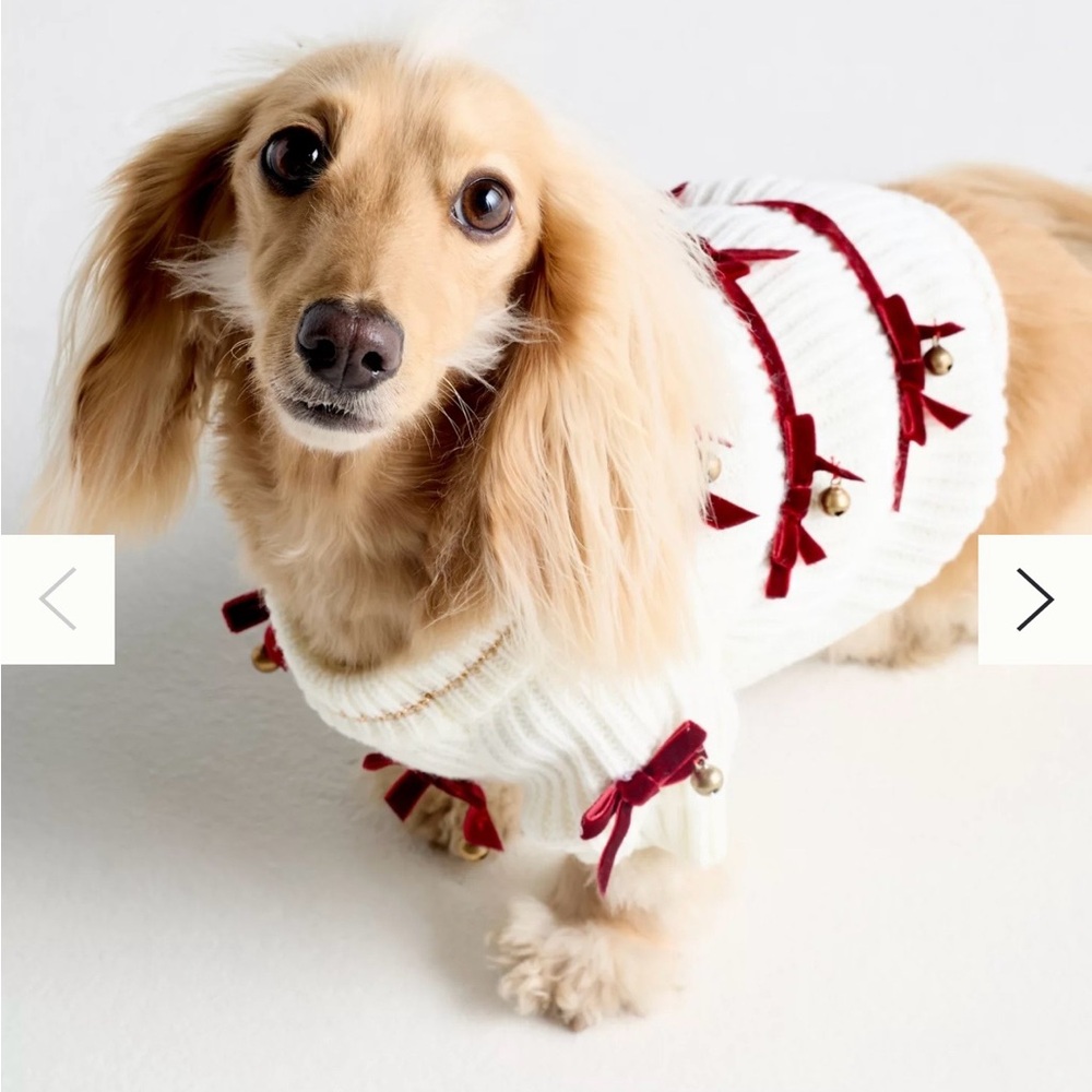 Anthropologie Dog Sweater XXL NWT